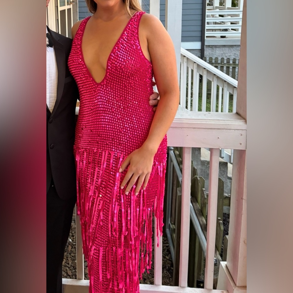 Retrofete Libra Pink Sequin Fringe Gown - Picture 3 of 6
